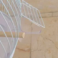 قفس پرنده|لوازم جانبی حیوانات|اراک, |دیوار