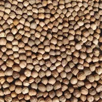 گردو درجه یک