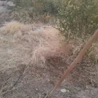 کارگر باغ هستم
