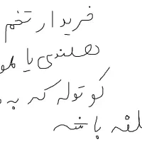 عروس هلندی|پرنده|کنارک, |دیوار
