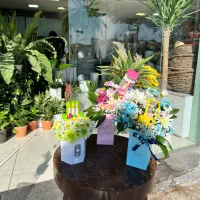 هدایای اقتصادی روز دانش آموز|لوازم التحریر|شیراز, ارم|دیوار