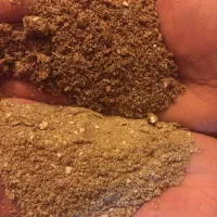 فروش پودر جوجه درجه ۱