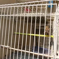 قفس پرون اردشیر|لوازم جانبی حیوانات|تهران, فلاح|دیوار