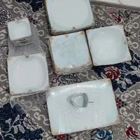 چینی پردیس فیروزە