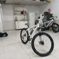 دوچرخه اکو چیاوا|دوچرخه، اسکیت، اسکوتر|بجنورد, |دیوار