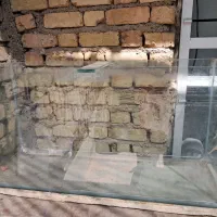 آکواریوم شیشه ای