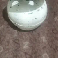پیکنیک معمولی