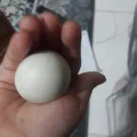 یک عدد سنگ اسیاب ویک لاجورد بفروش میرسد