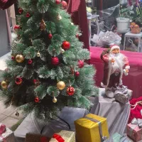 پکیج کریسمس|گل مصنوعی|رشت, جهاد|دیوار