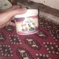 غذا بچه عروس هلندی ۲۵۰گرم