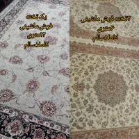 یک تخته ۱۲متری،۲تخته ۶متری ۷۰۰ شانه