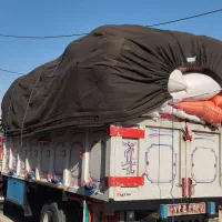 تولیدی تشک بالشت پشتی الیاف|رختخواب، بالش، پتو|دزفول, |دیوار