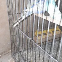 رنگین کمانی مرغ عشق|پرنده|تهران, ائمه اطهار|دیوار