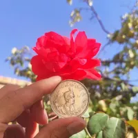 انواع سکه قدیمی|کلکسیون سکه، تمبر، اسکناس|مرند, |دیوار
