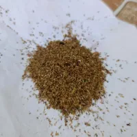 بذر یونجه|خدمات باغبانی و درختکاری|سیمینه, |دیوار