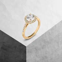 عکاسی تخصصی طلا و جواهر|خدمات پذیرایی، مراسم|رشت, معلم|دیوار