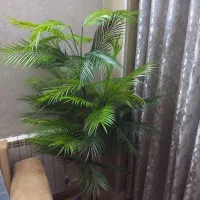 درختچه شامادورا مصنوعی|گل مصنوعی|چهاردانگه (تهران), |دیوار