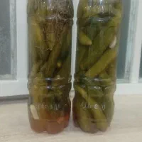 خیارشور عمده با طعم فق العاده