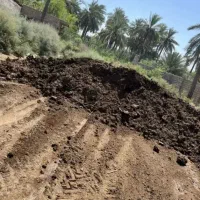 کودحیوانی پشکل سوخته