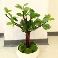 درختچه فیکوس آمستل بنسای مصنوعی جنسینگ گل درخت|گل مصنوعی|تهران, قصر فیروزه ۱|دیوار