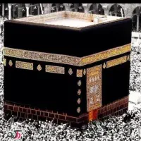 فیش مکه واجب سال۹۵ بفروش میرسد