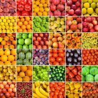 نیرو جهت میوه فروشی