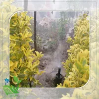 آبیاری قطره ای بارانی هوشمند دیوار سبز گلخانه