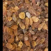 کشمش و شیره مزرعه چی|خوردنی و آشامیدنی|تاکستان, |دیوار