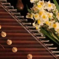 سنتور سل کوک چوب گردو