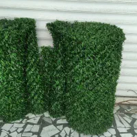 فروش فنس برگی و فنس چمنی|خدمات پیشه و مهارت|آمل, |دیوار