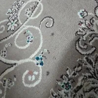 فرش ۶ متری|فرش|شیراز, آزادگان|دیوار