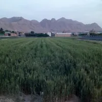 فروش زمین ۱۴۰۰ متری در گورت|فروش زمین و ملک کلنگی|اصفهان, گورت|دیوار