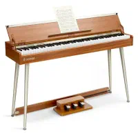 پیانو دانر ddp-80 plus|پیانو، کیبورد، آکاردئون|قزوین, |دیوار