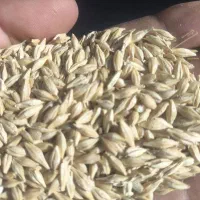 جو آبی بسیار تمیز وچاق
