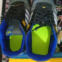 کفش|کیف، کفش، کمربند|اهواز, سپیدار|دیوار