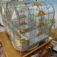 قفس|لوازم جانبی حیوانات|شیراز, رکن‌آباد|دیوار