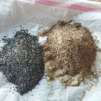 فروش خوراک دام و طیور