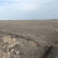 ۱۶ هزار متر زمین زراعی سنددار
