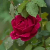 راهنماییم کنید