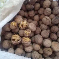 گردوی خوب وسفیدروغنی محصول امسال شیرین بدون پوکی