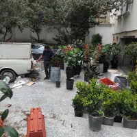 باغبانی سمپاشی گلهای آپارتمانی تعویض خاک گلدان