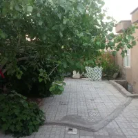 ویلایی-جامی-250متری