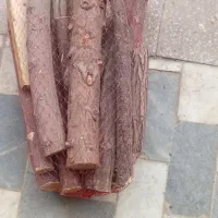 چوب آتش‌زا  حلال برای کباب و جوجه