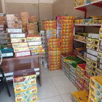 استخدام ویزیتور