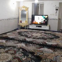 ۲عدد فرش ۱۲متری ۷۰۰شانه|فرش|کنارک, |دیوار