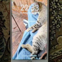 گوشی ایفون7پلاس|موبایل|ملایر, |دیوار