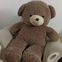 عروسک خرسی بزرگ