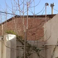 خانم جهت امور منزل