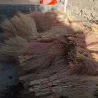 ۳۰۰ عددجاور خوب نو|لوازم نظافت|بیلوار, |دیوار