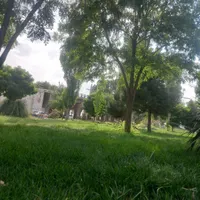 مقداری پول پیدا کردم